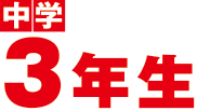 中学3年生